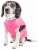 Pet Life Active Aero-Pawlse Heathered Quick-Dry Performance Dog Tank Top T-Shirt Perspective: top