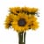 Fresh Cut Sunflowers Perspective: top