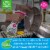 Dapple® Fragrance Free Foaming Bottle & Dish Spray Perspective: top