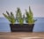 Bloem 30in Dura Cotta Window Box Terra Cotta DCBT30-46 Perspective: top