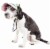 Pet Life Botanic Bark Floral Uv Protectant Adjustable Fashion Dog Hat Cap Perspective: top