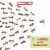 Nature-Cide All-Purpose Insecticide - Natural Roach, Spider, Mosquito and Ant Spray Perspective: top