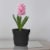 Bloem SP1000 Saturn Indoor Outdoor 10 Inch Planter Pot w/ Attached Saucer, Black Perspective: top