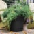 Bloem SP1200 Saturn Indoor Outdoor 12 Inch Planter Pot w/ Matching Saucer, Black Perspective: top