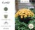 Bloem DC16-45 16 in. Dura Cotta Planter, Chocolate Perspective: top