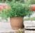 Bloem CLN12-43 12 Colonnade Wood Resin Planter, Dark Earth Perspective: top
