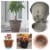 Bloem 256722 6 in. Lucca Pebble Stone Plastic Planter Perspective: top