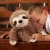 Warmies® Sloth Microwavable Warming Plush Perspective: top