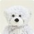 Warmies - Regular - Friend Bear Perspective: top