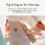 Avaline Organic French Rosé Wine Perspective: top