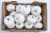 Bay Baby Produce Snowbaby Pumpkin - White Perspective: top