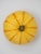 Pumpkin Patch Pals Royalty Ornamental Pumpkin Perspective: top