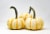 Pumpkin Patch Pals Tiger Stripe Ornamental Pumpkin Perspective: top