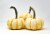 Pumpkin Patch Pals Tiger Stripe Ornamental Pumpkin Perspective: top