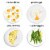 Chefman Electric Egg Cooker Boiler - Ivory Perspective: top