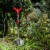 Radius Carbon Steel blade Poly Handle 10.5 in. W x 44.5 in. L Shovel - Total Qty: 1 Perspective: top