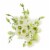 Lisianthus Seasonal Super Bloom Flowers Perspective: top