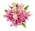 Rose Lily Bouquet Flowers 2 Stem Perspective: top