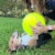 As Seen On TV Jumbo Pet Tennis Ball Perspective: top