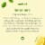 Method® Lemon Mint Dishwasher Detergent Packs Perspective: top