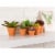 Terra Cotta Pots - 10-Count Terracotta Pots, 2.6-Inch Mini Flower Pots Perspective: top