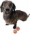 Midlee Squeaky Mini Tennis Ball for Dogs 1.5 - Pack of 12 (Orange/Blue) Perspective: top