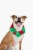 Midlee Red/Green Christmas Plush Bell Collar (Small) Perspective: top