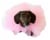 Midlee Loofah Dog Halloween Costume (Medium, Pink) Perspective: top