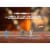 200-Piece Military Figures Set, Toy Soldiers Army in 4 Colors, World War II Perspective: top