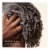 Carol's Daughter Black Vanilla Luscious Moisture Shampoo Sulfate Free For Dry, Dull, Brittle Hair Perspective: top
