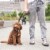 GF PET Poop Bag Dispenser Perspective: top