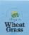 Amazing Grass Organic Wheat Grass Whole Food Drink Powder Perspective: top