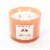 House of Velas® Jar Candle Puppy Love Odor Eliminating Perspective: top