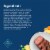 Blue Buffalo Delights Small Breed Wet Dog Food Prime Rib Flavor in Gravy Perspective: top