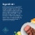 Blue Buffalo Delights Small Breed Natural Paté Wet Dog Food Filet Mignon Perspective: top