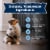 Blue Buffalo Baby BLUE Natural Puppy Wet Dog Food Chicken & Vegetables Perspective: top