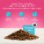 Blue Buffalo True Solutions Top Form Active Adult Dry Dog Food Perspective: top