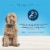 Blue Buffalo True Solutions Best Life Adult Wet Dog Food Perspective: top