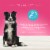Blue Buffalo True Solutions Active Adult Dog Maintenance Food Perspective: top