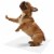 MaxProtect Softies Reusable Pee Pads for Dogs, Cloth-Like Top Layer - 6 Pack, 18  x 24 Perspective: top