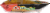 Glicks Chow Mein Wide Noodles Perspective: top