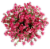 Big Bunch Spray Rose Perspective: top