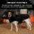 FurHaven Flex-Fit Pet Costume Hat - Black Bat, XS-S Perspective: top