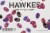 Hawkes Dead & Berried Berry Hard Cider Perspective: top