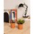 Juvale Small Terra Cotta Pots with Saucer- 16-Pack Clay Flower Pots with Saucers Perspective: top