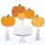 Big Dot of Happiness Pumpkin Patch Fall, Halloween or Thanksgiving Party Table Toppers 15 Ct Perspective: top