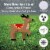 Big Dot of Happiness Santa's Reindeer - Lawn Decor - Santa Claus Christmas Yard Signs 8 Ct Perspective: top