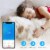 Letsfit ID152 Water Resistant Heart Rate & Activity Monitor - Blue Perspective: top