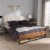 Baxton Studio Mitchell Tufted King Platform Bed in Beige and Brown Perspective: top