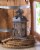 Home Locomotion Rustic Wood Lantern Perspective: top
